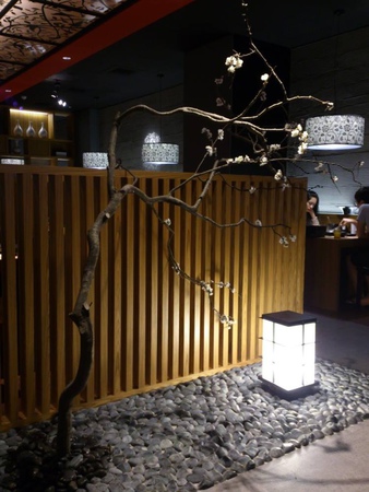 1291464_10151722355463049_1577646873_o