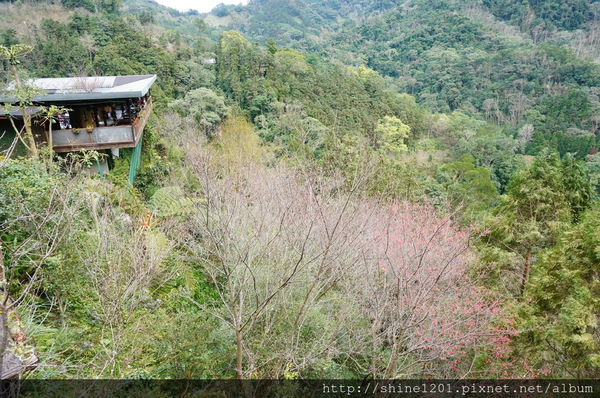 【苗栗景觀餐廳】山行玫瑰.南庄美食景觀餐廳.民宿