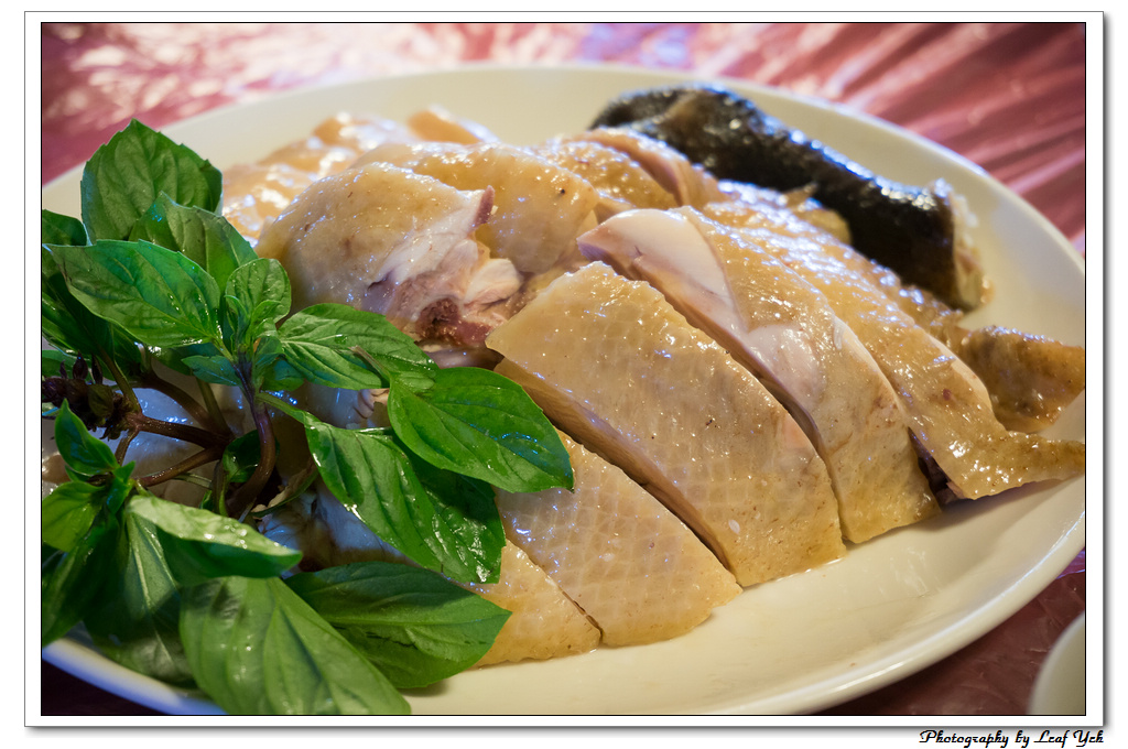 葉影瓶像版權所有