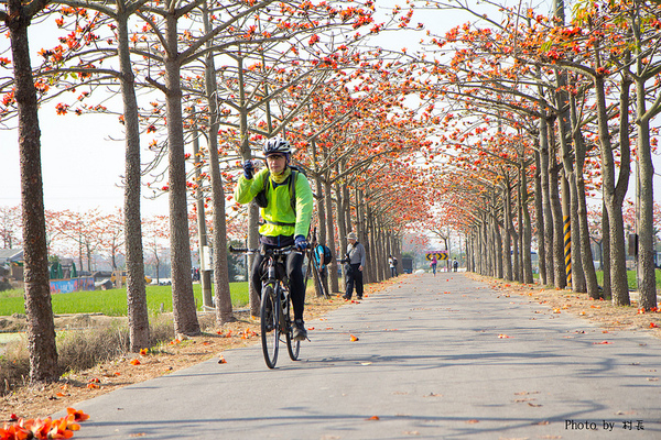 木棉花道:【遊記】{台南。白河鎮}林初埤~木棉道