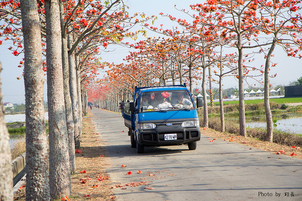 木棉花道:【遊記】{台南。白河鎮}林初埤~木棉道
