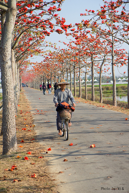 木棉花道:【遊記】{台南。白河鎮}林初埤~木棉道