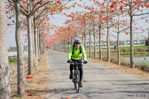 木棉花道:【遊記】{台南。白河鎮}林初埤~木棉道
