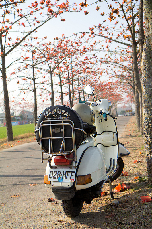木棉花道:【遊記】{台南。白河鎮}林初埤~木棉道
