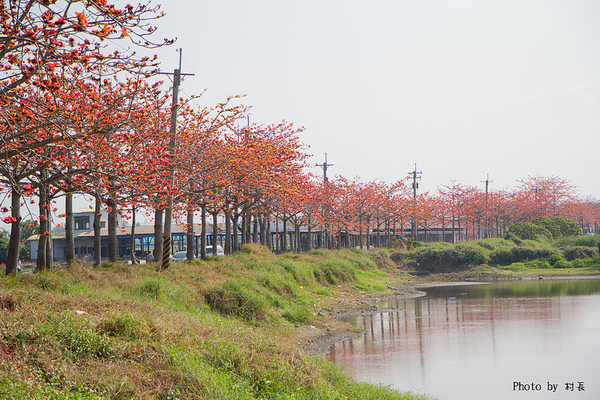 木棉花道:【遊記】{台南。白河鎮}林初埤~木棉道