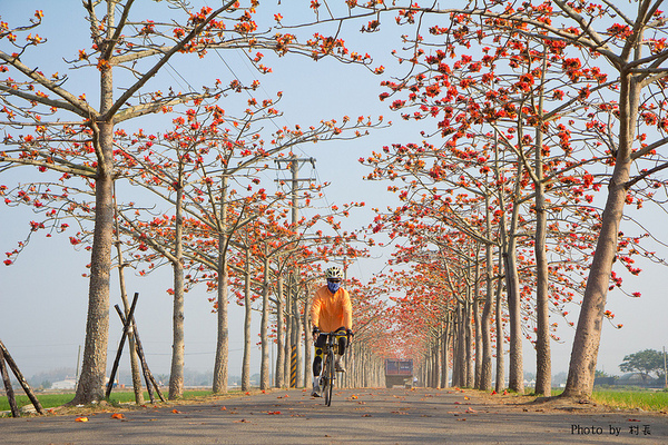 木棉花道:【遊記】{台南。白河鎮}林初埤~木棉道