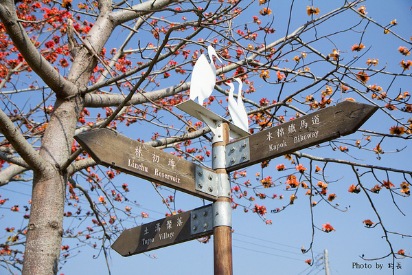 木棉花道:【遊記】{台南。白河鎮}林初埤~木棉道