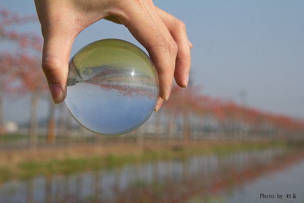 木棉花道:【遊記】{台南。白河鎮}林初埤~木棉道