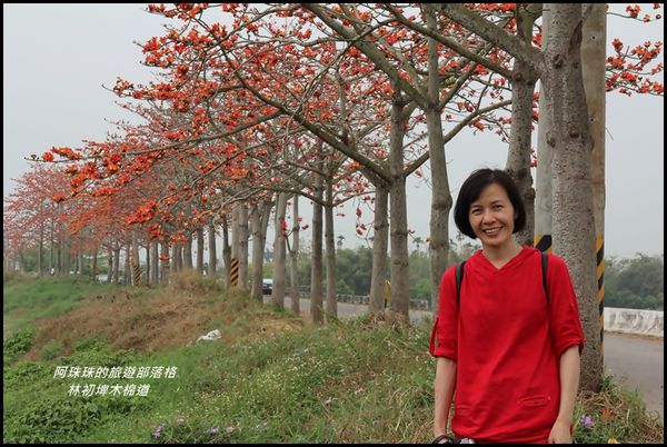 林初埤木棉道25.JPG