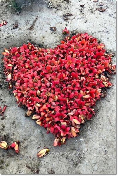 10363565_984214758262980_4993742455973116959_n