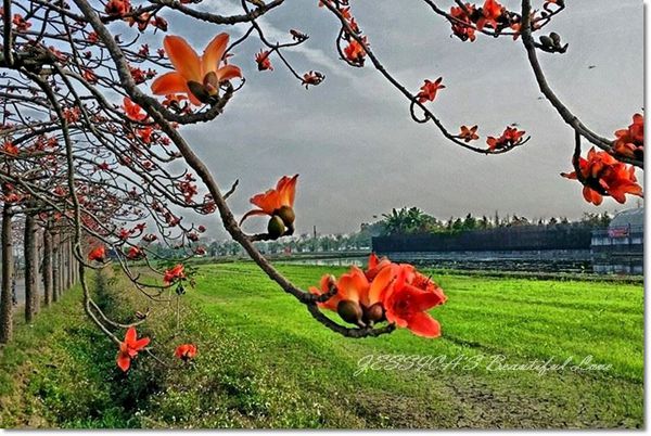 10446712_1083323881681672_2834532447137136141_n