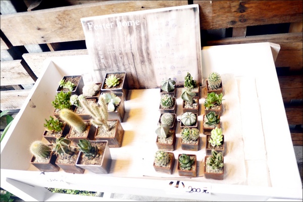 Dear dear 小路咖啡：古亭*菜市仔的文青秘密基地【小路咖啡】 迷路的你 很適合去