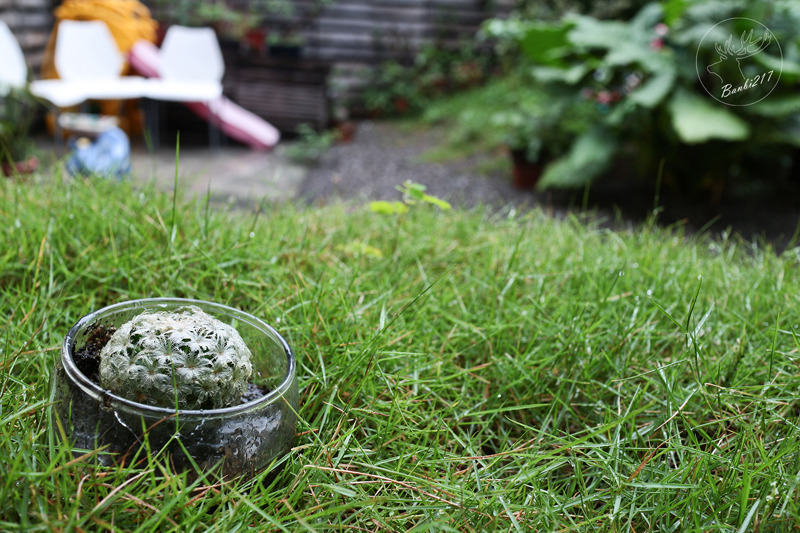 Banbi217 美食旅遊: dear Deer 小路咖啡.平假日無限時咖啡館下午茶(台北古亭捷運站)