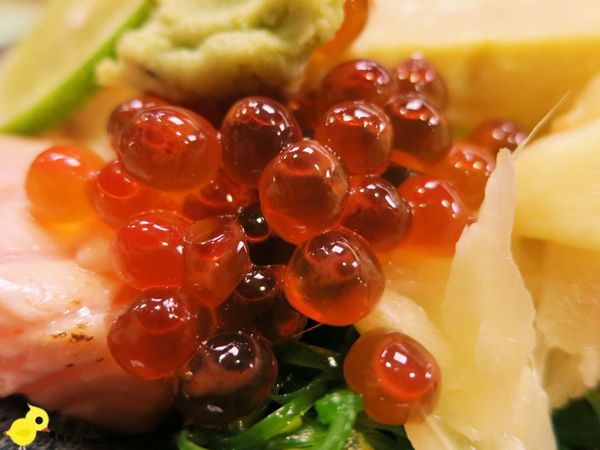 【台北】小六食堂日式料理-傳說中的名店、新鮮吃的到-炙燒鮭魚、比目魚