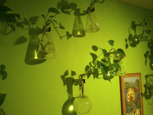 胖達咖啡輕食館:口碑卷14_這家超推的唷~『胖達咖啡輕食館』~可愛之外還有呷擱有ㄌㄧㄚ