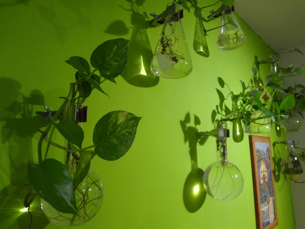 cm20131207___43f171eeb71c69084a9294f0ea0