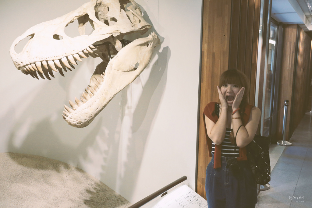 那復古情懷的臺灣博物館