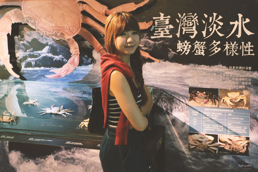 那復古情懷的臺灣博物館