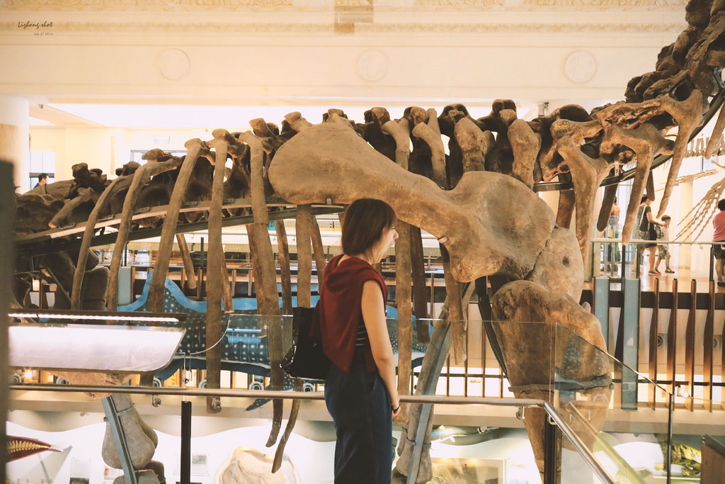 那復古情懷的臺灣博物館