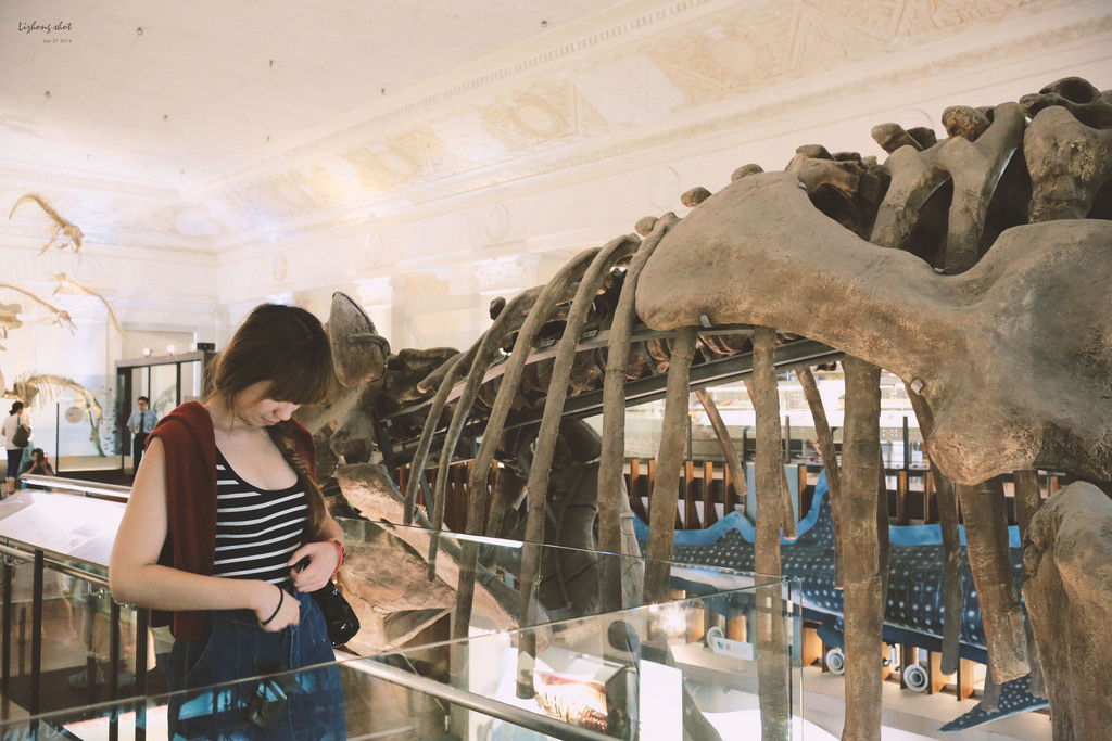 那復古情懷的臺灣博物館