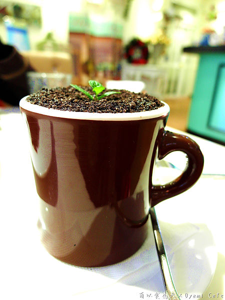 Oyami cafe：《試吃》巷弄中的Tiffany藍，女孩們尖叫吧！【Oyami Cafe】（西門町、鄉村風、咖啡、下午茶、甜點、義大利麵、捷運西門站）