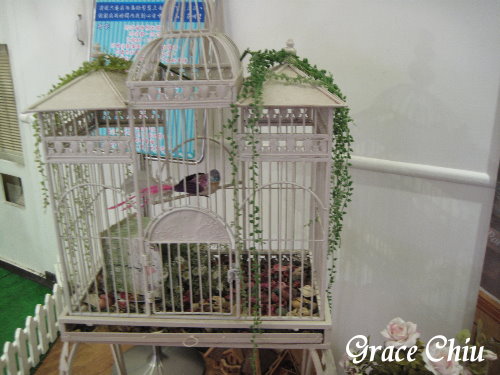 Oyami 西門町異國 西門町義大利麵 西門町下午茶 捷運西門站