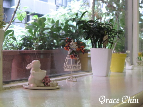 Oyami 西門町異國 西門町義大利麵 西門町下午茶 捷運西門站