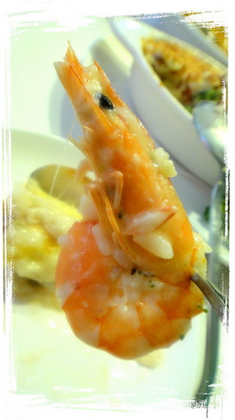 Oyami cafe：【台北西門】在Oyami cafe找到屬於你的白馬王子