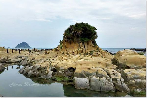 1908167_847659135275490_8129623528500288710_n