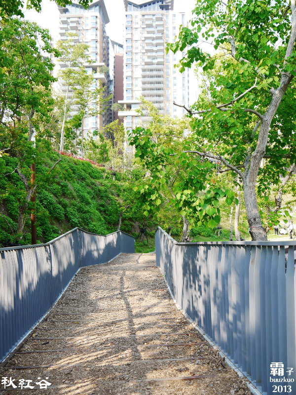秋紅谷廣場：秋紅谷廣場，台中超夯景點(泰迪熊展出中～2014.01.05)
