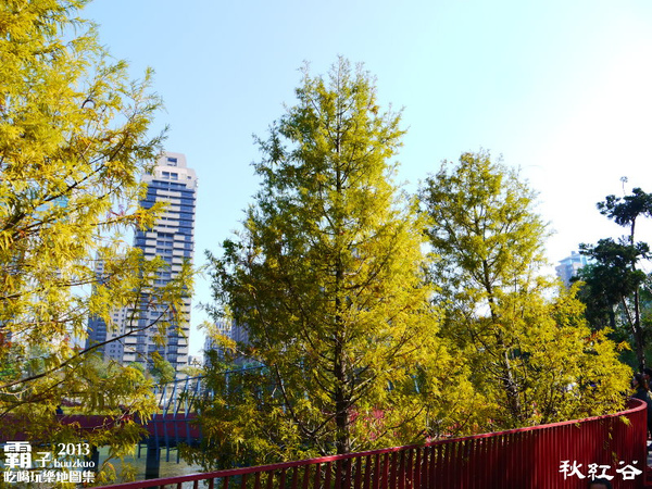 秋紅谷廣場：秋紅谷廣場，台中超夯景點(泰迪熊展出中～2014.01.05)