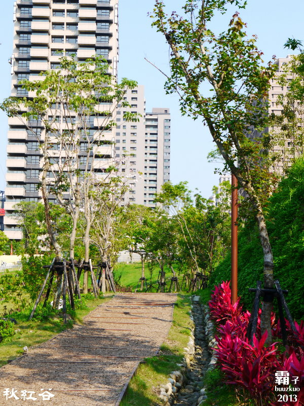 秋紅谷廣場：秋紅谷廣場，台中超夯景點(泰迪熊展出中～2014.01.05)