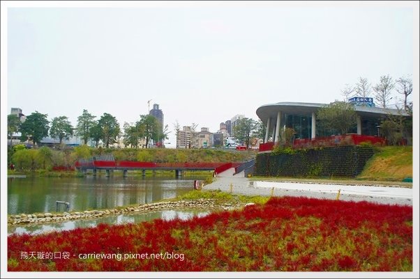 秋紅谷公園 (20).JPG