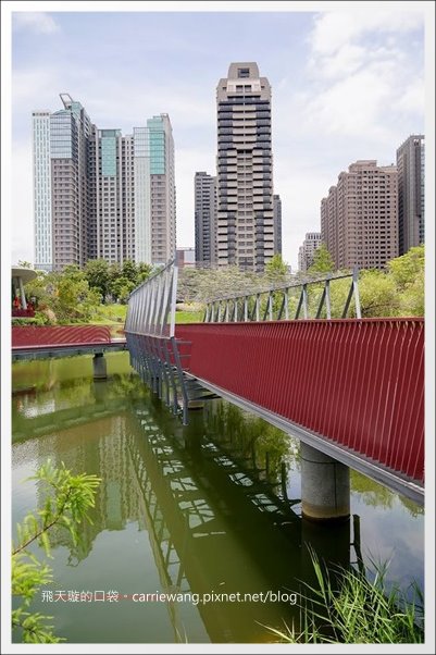 秋紅谷公園 (11).jpg