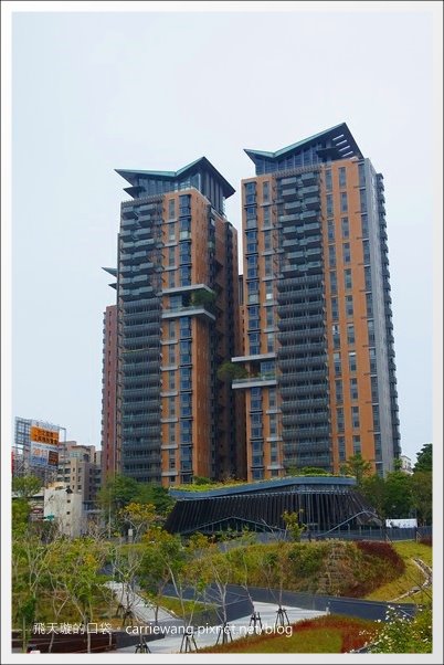 秋紅谷公園 (4).JPG