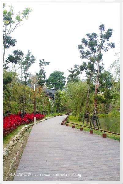 秋紅谷公園 (8).JPG