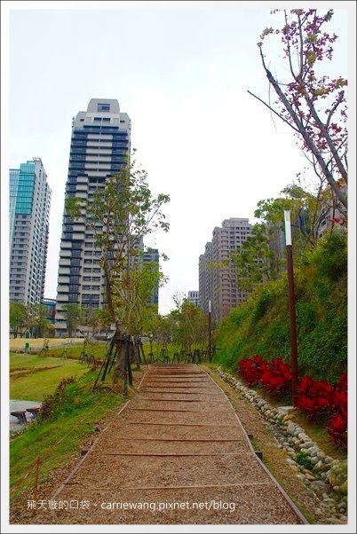 秋紅谷公園 (7).JPG