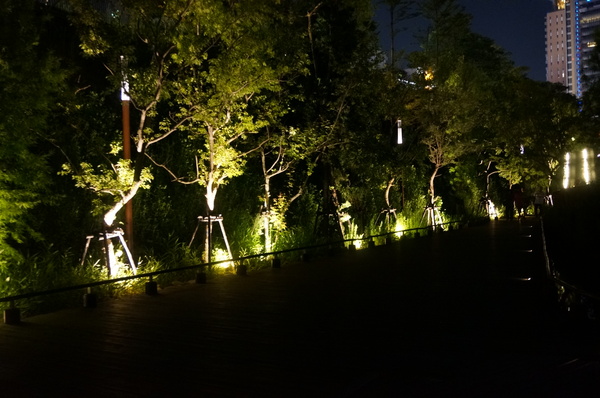 秋紅谷廣場:遊記:秋紅谷景觀生態公園