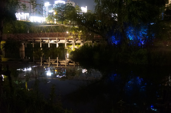 秋紅谷廣場:遊記:秋紅谷景觀生態公園