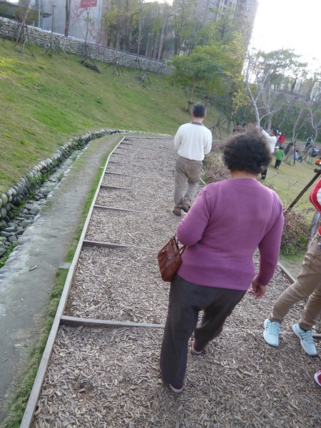 秋紅谷廣場：【台中】漫步台中綠森林－秋紅谷廣場