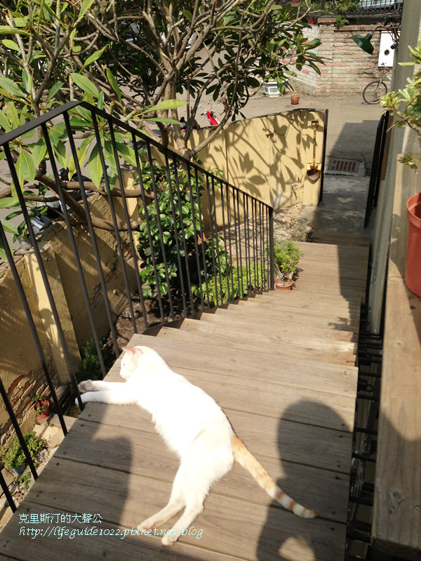 田樂 082_副本.jpg