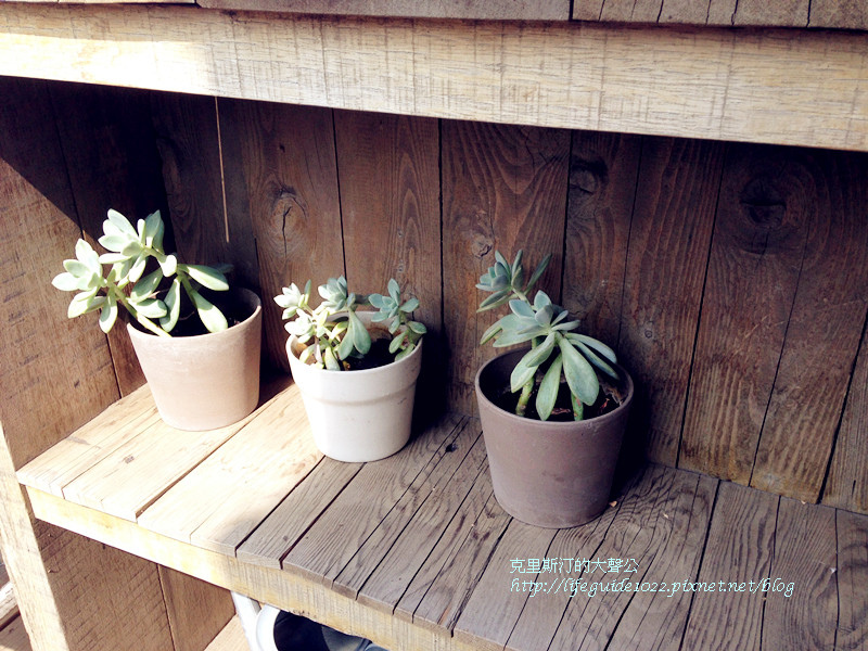 田樂 085_副本.jpg