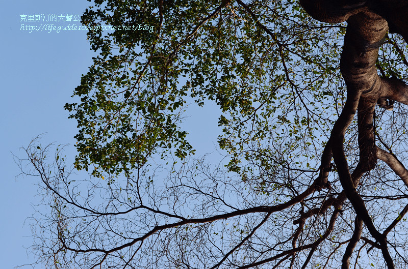 田樂 039_副本.jpg