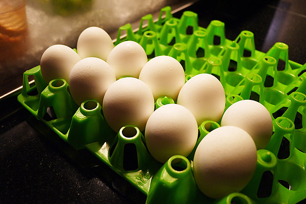 好客-音樂料理-現場LIVE演唱(市府店):帝王級的豪華料理。好客-音樂料理(巿府店)