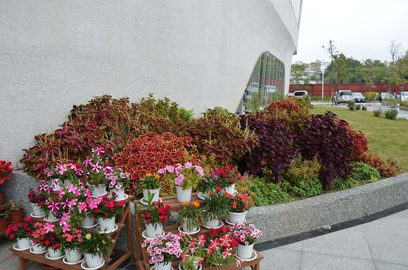 國立公共資訊圖書館22