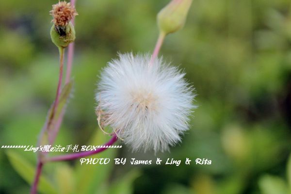 國立公共資訊圖書館National Library of Public Information:閱讀新視界.世界級的國立台中圖書館