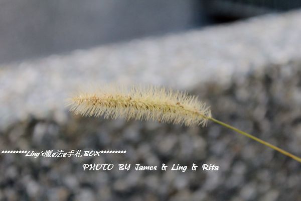 國立公共資訊圖書館National Library of Public Information:閱讀新視界.世界級的國立台中圖書館