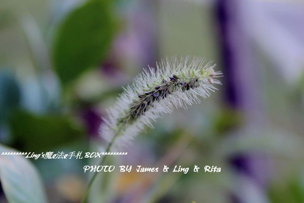 國立公共資訊圖書館National Library of Public Information:閱讀新視界.世界級的國立台中圖書館