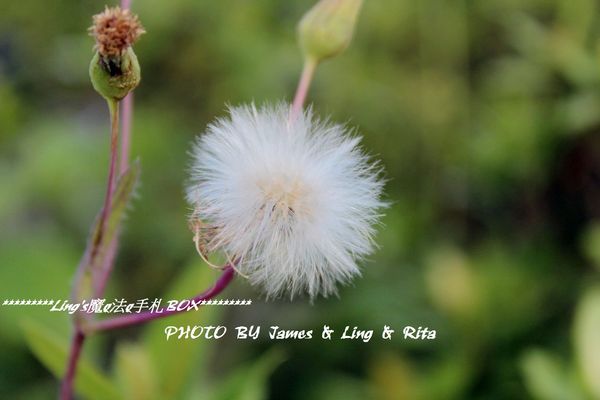 國立公共資訊圖書館National Library of Public Information:閱讀新視界.世界級的國立台中圖書館