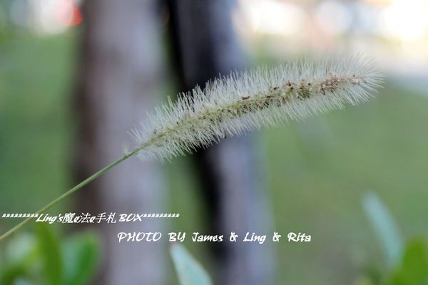 國立公共資訊圖書館National Library of Public Information:閱讀新視界.世界級的國立台中圖書館
